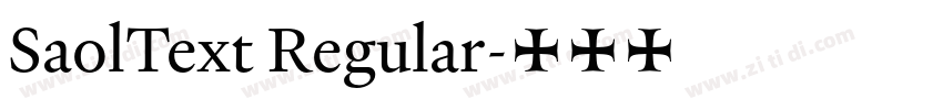 SaolText Regular字体转换
